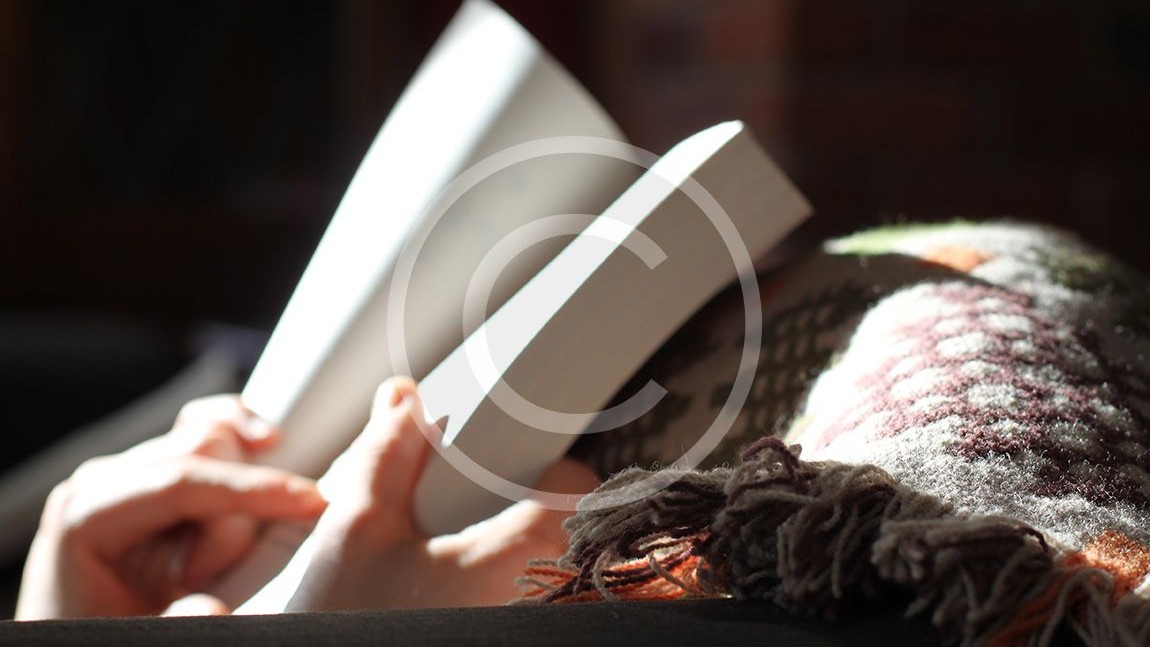 Aliquam lorem lectus, dapibus quis tempus sit amet